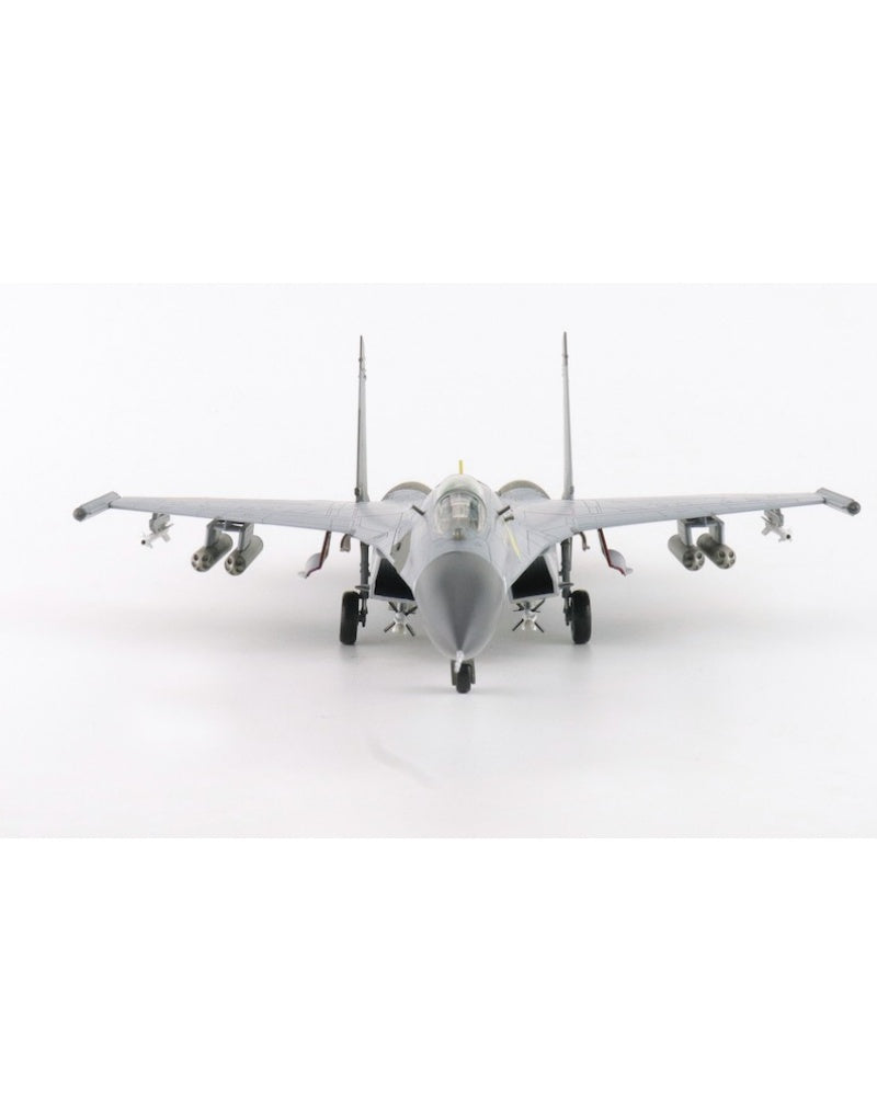 HOBBY MASTER PLAAF J-11A Flanker-L Foggy Eagle 1:72 Model 2014 Golden Helmet #40547