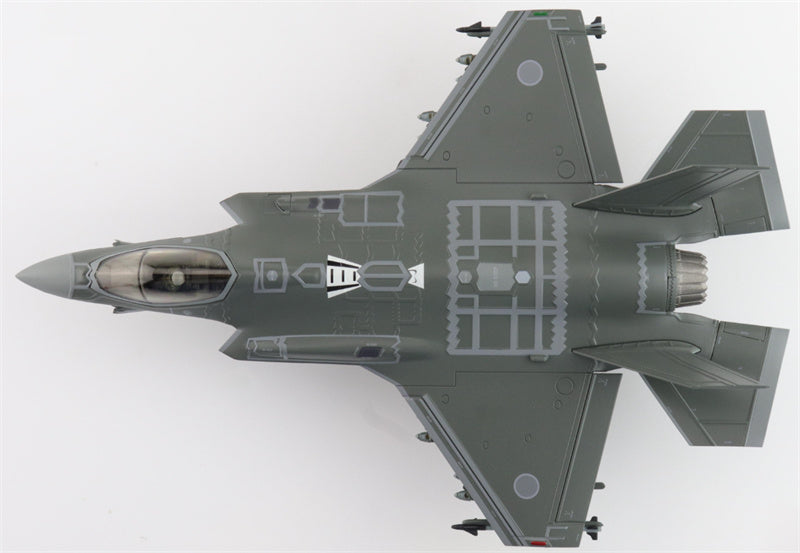 HOBBY MASTER F35A Lightning II 69-8702 302nd FS JASDF (w/painted RAM panels) 1:72 Aircraft Pre-built Model