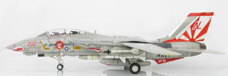 HOBBY MASTER USN F-14A VF-111 Sundowners 1:72 Model 1989 USS Carl Vinson Miss Molly NL200 / 161621