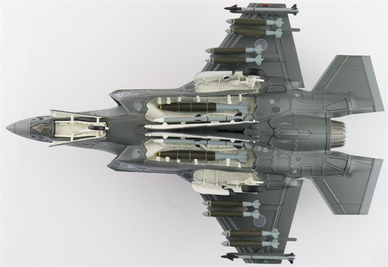 HOBBY MASTER F35A Lightning II 69-8702 302nd FS JASDF (w/painted RAM panels) 1:72 Aircraft Pre-built Model