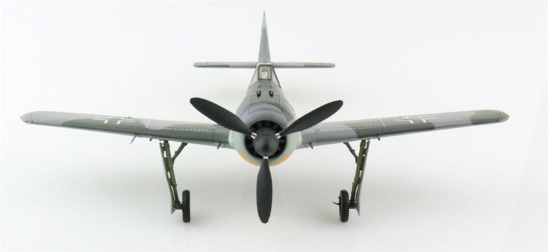 HOBBY MASTER FW 190A-4 Fw. R. Eisele, 8./JG 2, Brest-Guipavas, France, January 1943 1:48 Aircraft Pre-built Model