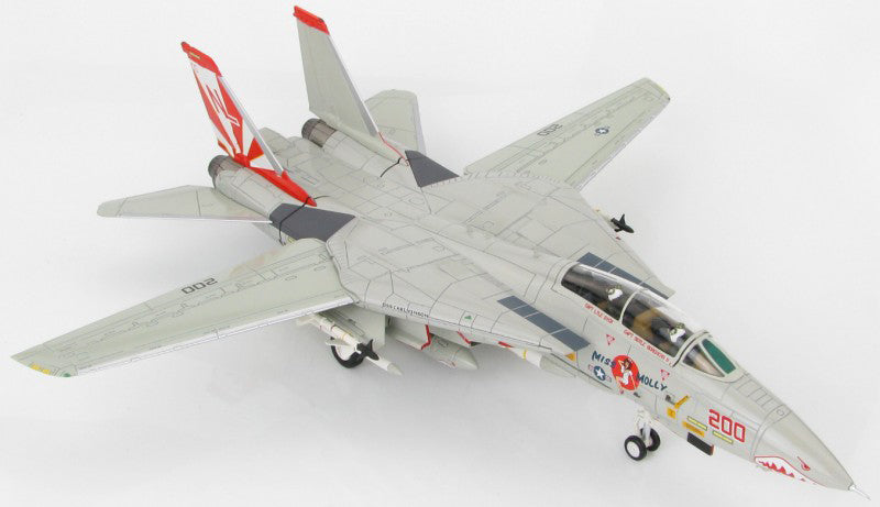 HOBBY MASTER USN F-14A VF-111 Sundowners 1:72 Model 1989 USS Carl Vinson Miss Molly NL200 / 161621