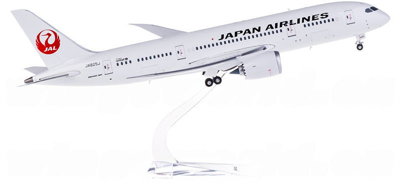 Phoenix Japan Airlines Boeing 787 JA825J 1:200 Diecast Model view 4