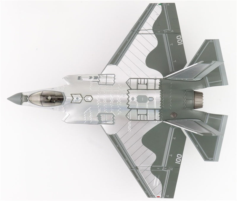 HOBBY MASTER F35C Lightning II JSF Mirror Coating XE-100/168733 US Navy August 2022 1:72 Aircraft Pre-built Model