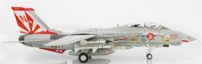 HOBBY MASTER USN F-14A VF-111 Sundowners 1:72 Model 1989 USS Carl Vinson Miss Molly NL200 / 161621