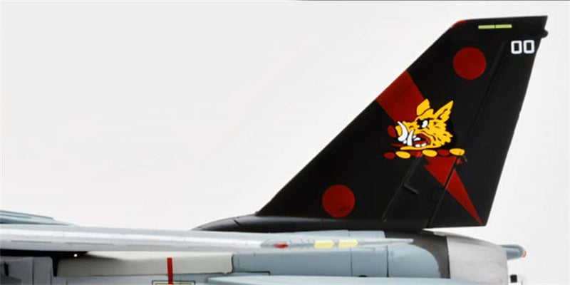 Century Wings F-14B Tomcat US Navy VF-11 Red Rippers AG200 2004 1:72 Aircraft Pre-built Model